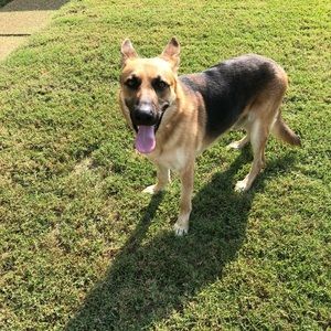 Meet your Posher, Torry